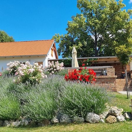 La Bobul Apartments Drnholec Екстер'єр фото